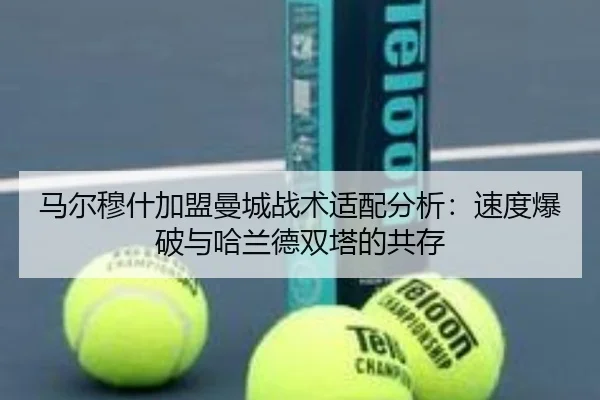 马尔穆什加盟曼城战术适配分析：速度爆破与哈兰德双塔的共存
